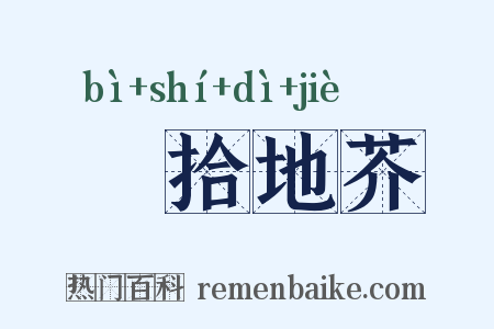 俛拾地芥是什么意思的图片
